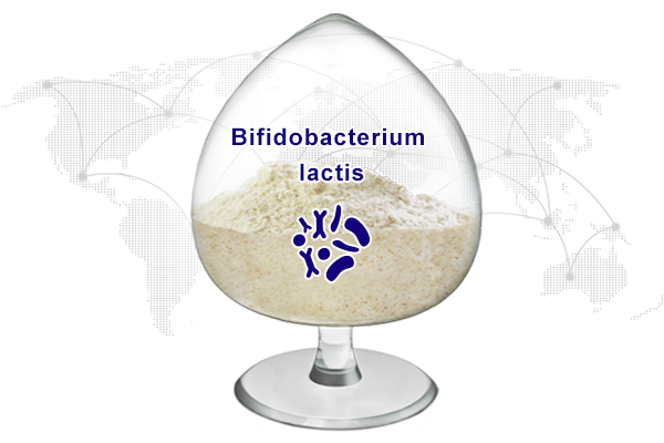 Bifidobacterium Lactis-Shanghai Ewell Biotechnology Co.,Ltd.